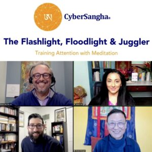 The Flashlight, Floodlight & Juggler: Training Attention with Meditation - with Dr. Amishi Jha and Tenzin Wangyal Rinpoche